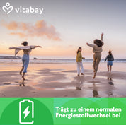 Vitamin B3 Niacin Flush free 500 mg - 90 vegane Kapseln