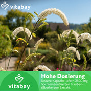 Traubensilberkerze Extrakt 2500 mg - 120 vegane Kapseln