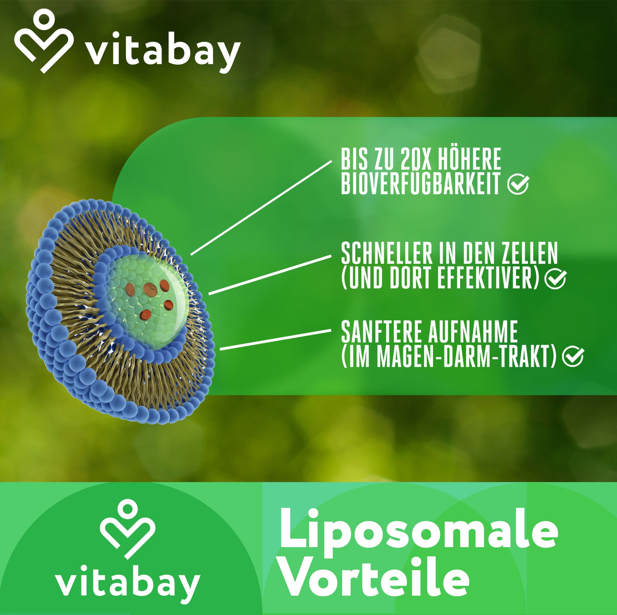 NAD+ 1000 mg Trans-Resveratrol 600 mg liposomal - hochdosiert - 90 vegane Softgels