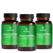 Liposomales Mumijo Shilajit - 120 Kapseln 2000 mg hochdosiert