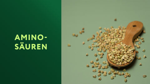 Aminosäuren