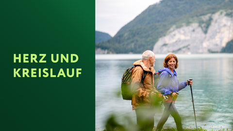 Herz & Kreislauf