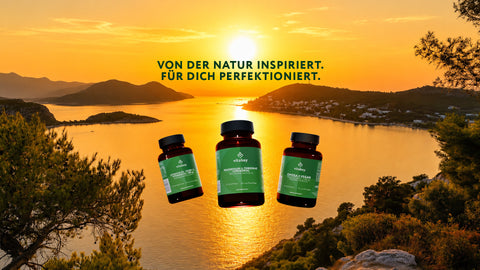 Alle Produkte